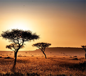 Cruceros por África. SoloCruceros.com