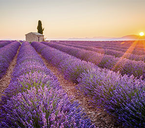 Marsella, puerto destacado. SoloCruceros.com