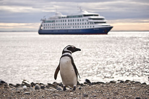 Medio Ambiente de Australis. SoloCruceros.com Medio Ambiente de Australis. SoloCruceros.com