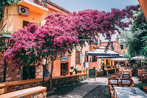 Itinerarios inmersivos con Azamara. SoloCruceros.com Itinerarios inmersivos con Azamara. SoloCruceros.com