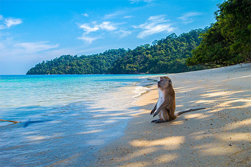 Conoce mundo con Oceania. SoloCruceros.com Conoce mundo con Oceania. SoloCruceros.com