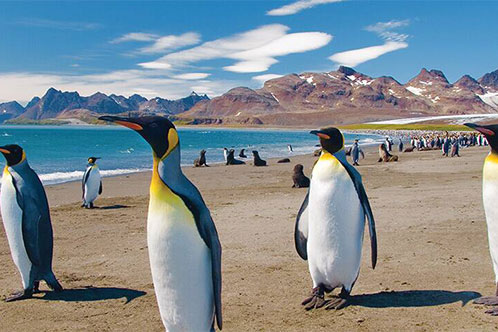 Itinerarios galardonados con Oceania. SoloCruceros.com Itinerarios galardonados con Oceania. SoloCruceros.com