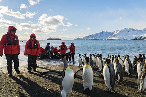 Silversea Expeditions. SoloCruceros.com Silversea Expeditions. SoloCruceros.com
