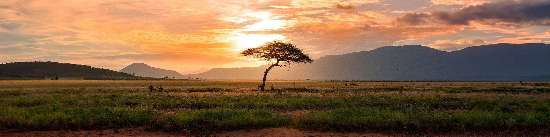 Cruceros por África. SoloCruceros.com