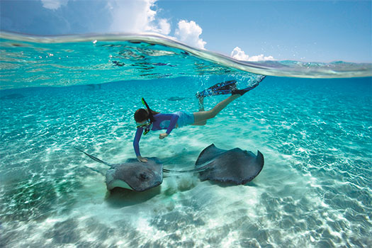 Ciudad de las Rayas en las Islas Caimán. SoloCruceros.com Ciudad de las Rayas en las Islas Caimán. SoloCruceros.com