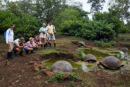 Rancho de tortugas en Bahía Tortuga. SoloCruceros.com Rancho de tortugas en Bahía Tortuga. SoloCruceros.com