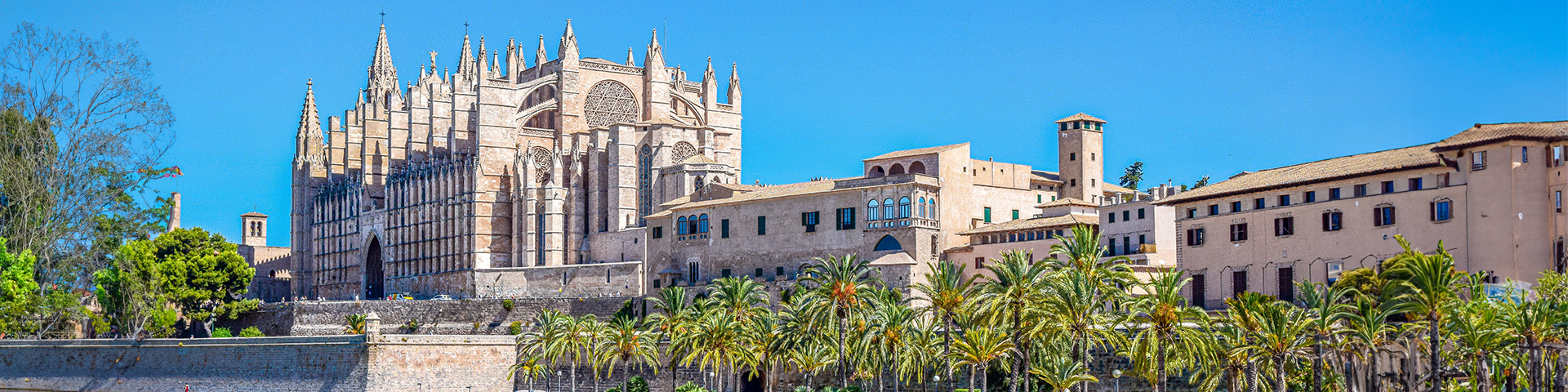 Cruceros desde Palma de Mallorca al mejor precio. SoloCruceros.com