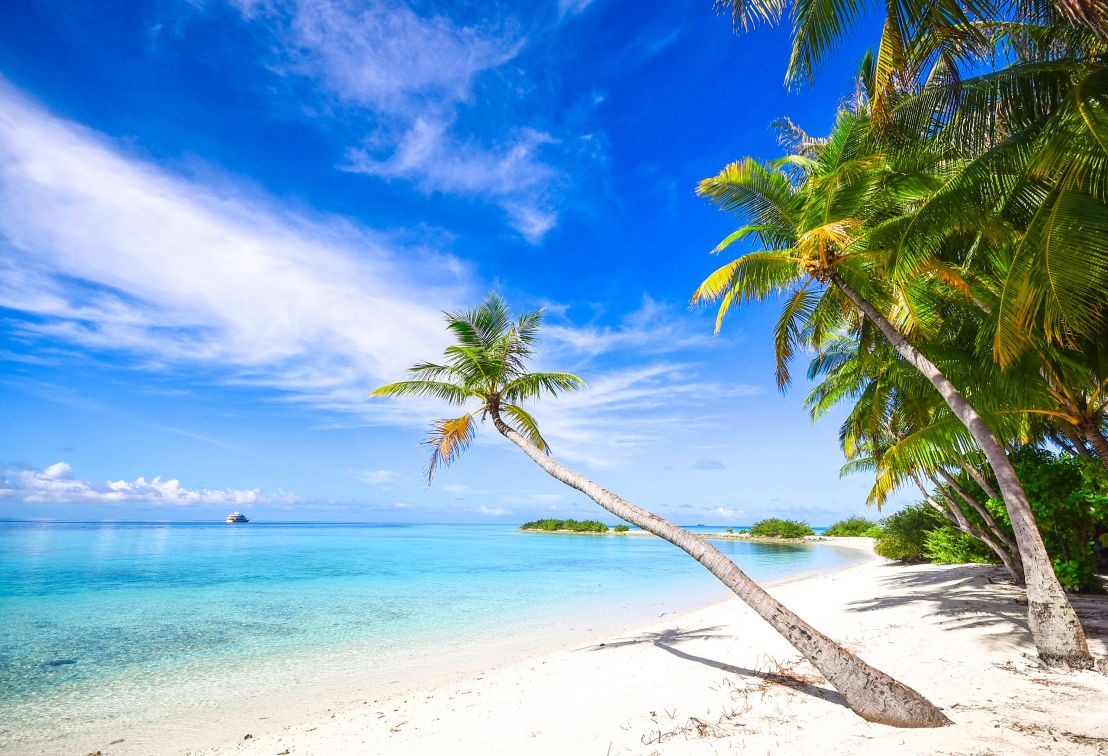 Ofertas de cruceros por el Caribe. SoloCruceros.com