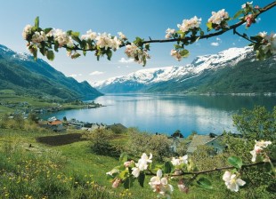 Fiordos Noruegos Crucero