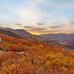 vista-panoramica-otoño-excursion-crucero