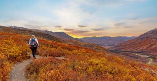 vista-panoramica-otoño-excursion-crucero