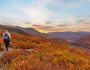 vista-panoramica-otoño-excursion-crucero