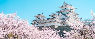 japon-destino-tradicion-modernidad