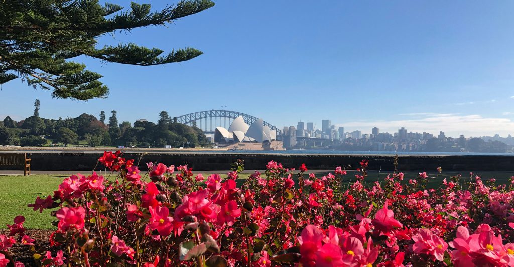 Royal Botanic Garden en Sydney con la Ópera de Fondo Imagen de unas flores del Royal Botanic Garden en Sydney con la Ópera de Fondo