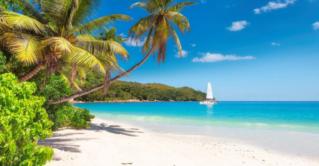 Escalas privadas en playas vírgenes de Seychelles Arena blanca y palmeras en una playa aislada de La Digue, Seychelles
