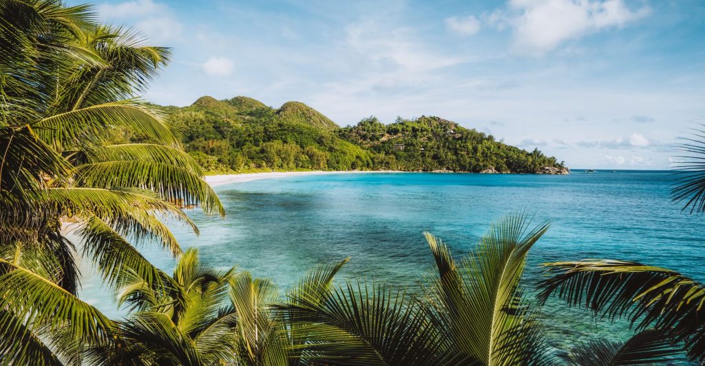 Conexión con la naturaleza en las islas Seychelles Vistas a una cala tropical en Praslin, con vegetación frondosa y mar cristalino