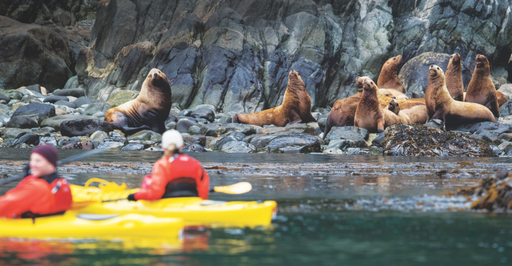 Kayak entre glaciares y focas en las aguas salvajes de Alaska