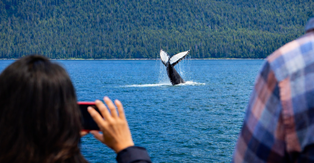 Fotografía de una mujer fotografiando una ballena en Alaska desde un crucero