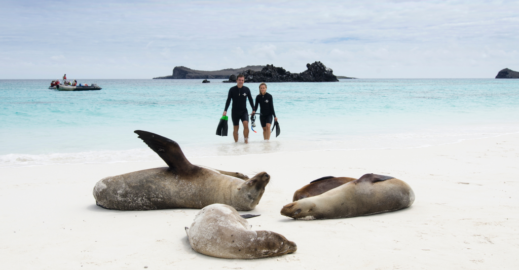 Pareja disfrutando de la naturaleza única de las Galápagos con focas