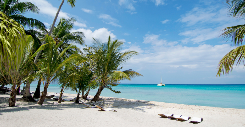 Descubre las playas paradisíacas del Caribe en crucero Playa paradisíaca del Caribe con palmeras, arena blanca y aguas turquesa