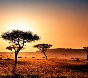 Cruceros por África. SoloCruceros.com