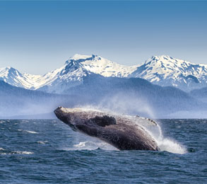 Cruceros por Alaska. SoloCruceros.com