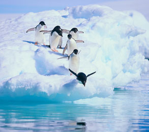 Cruceros por la Antártida. SoloCruceros.com