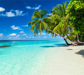 Cruceros por el Caribe. SoloCruceros.com