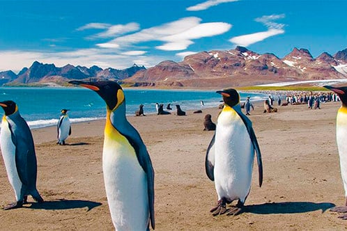 Itinerarios galardonados con Oceania. SoloCruceros.com