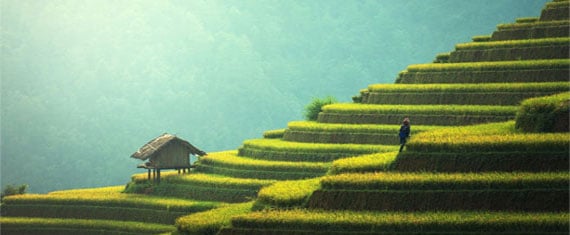 Cruceros novios por Oriente y Asia. SoloCruceros.com