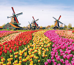 Ámsterdam, puerto destacado. SoloCruceros.com