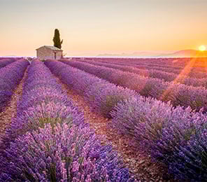 Marsella, puerto destacado. SoloCruceros.com