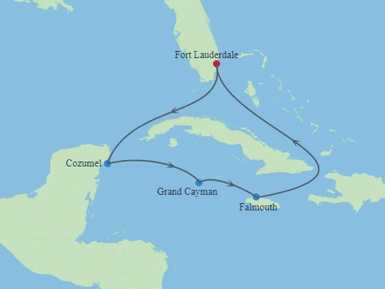 Celebrity Reflection