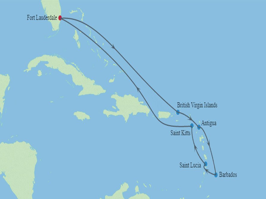 Celebrity Reflection